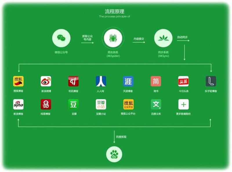 新媒体运营：潮流与挑战共舞的新战场